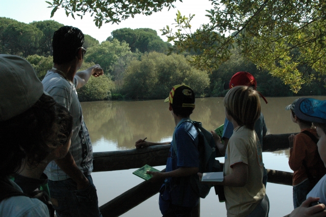 Conociendo Doñana en el campamento