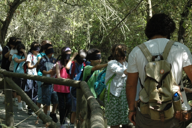 Aventuras en el campamento medioambiental