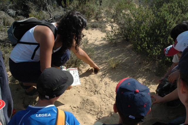 Talleres en la naturaleza