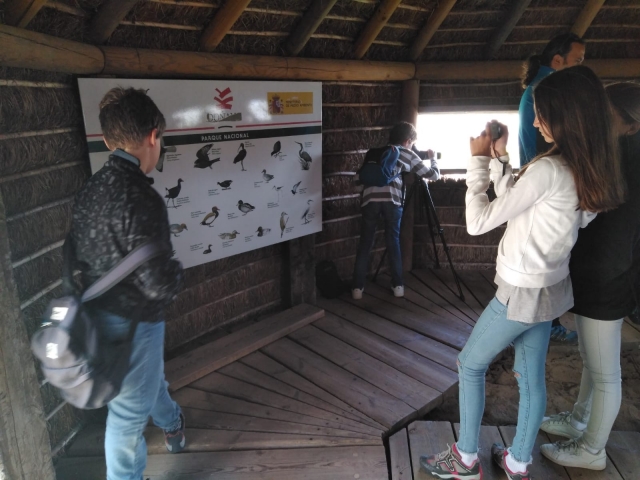 Aprendiendo sobre la fauna de Doñana