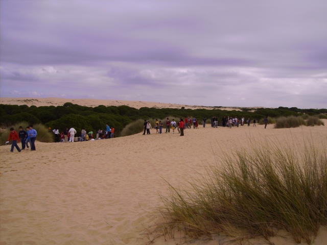 Recorriendo las marismas de Doñana