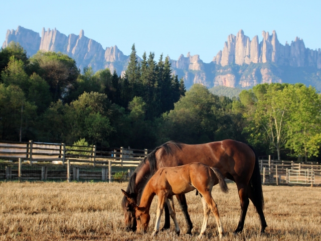  A cavalo no sopé de Montserrat 