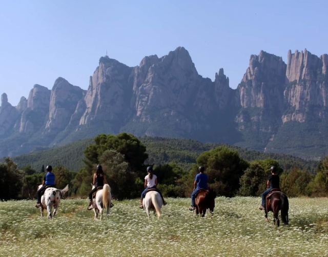 Conociendo Montserrat a caballo