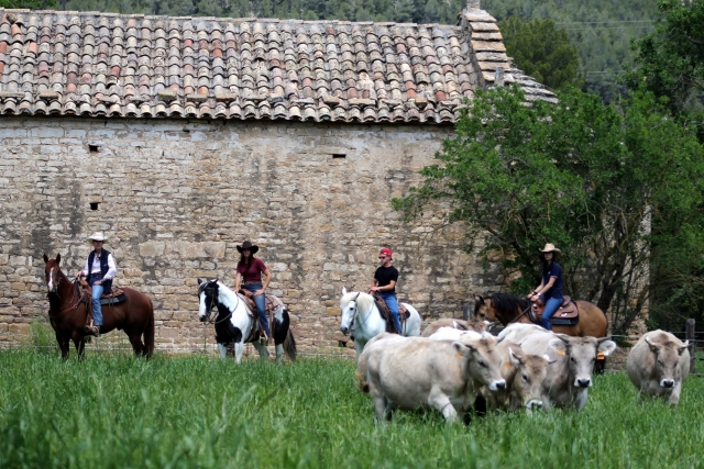  Passeio a cavalo ao pôr do sol por Montserrat 
