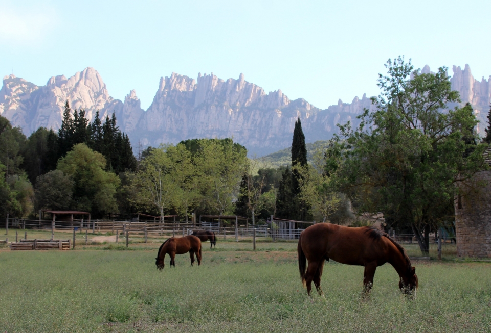  Percurso de passeio a cavalo por Montserrat 