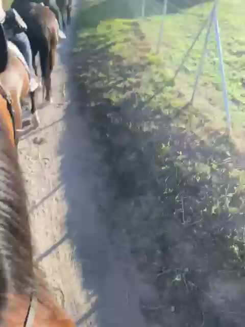 res_o-65918-rutas-a-caballo_de_joel-torres_1000225165_17597888585076.mp4 res_o-65918-rutas-a-caballo_de_joel-torres_1000225165_17597888585076.mp4