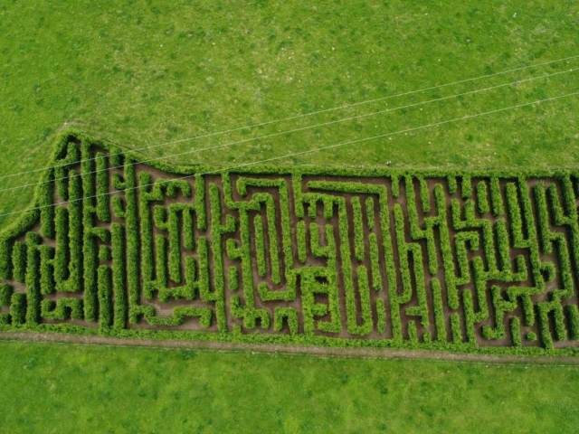 Plano cenital del laberinto
