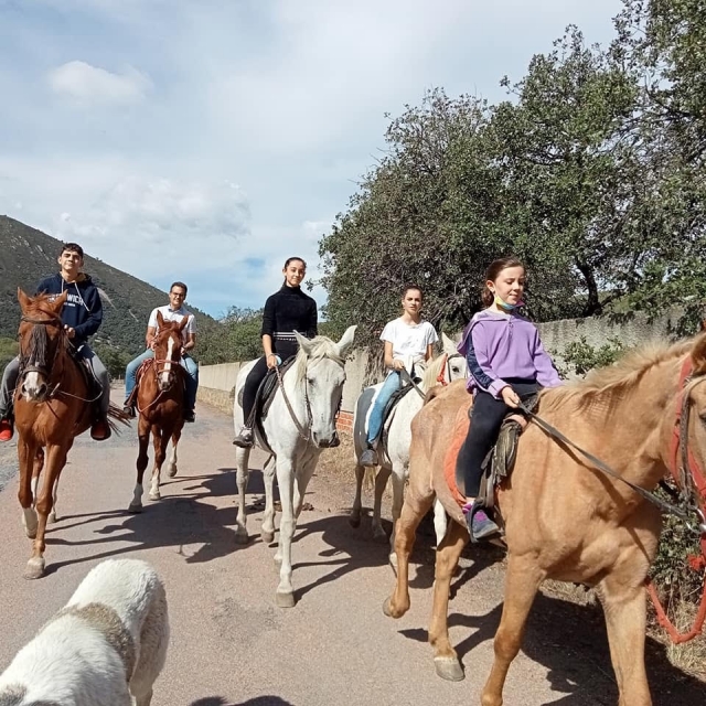 Paseo en grupo por Cabañeros