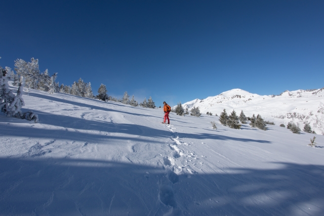  excursion d'une journée 