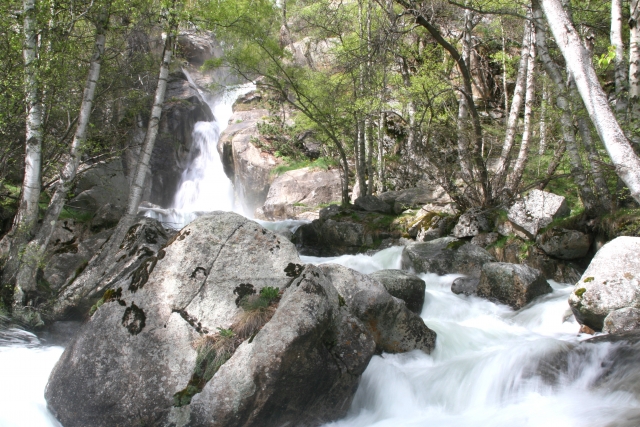  dans la nature 