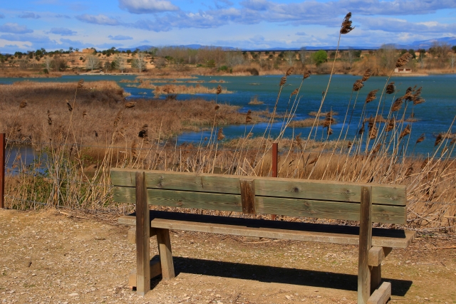  paysages du point de vue 