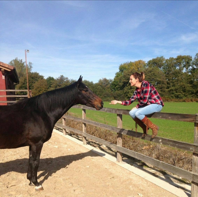 ensenando al caballo