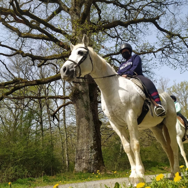 ruta a caballo