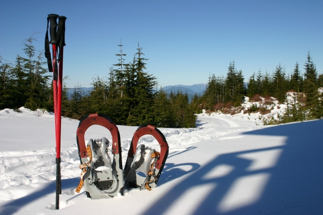  racchette da neve 