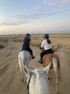 res_o-65961-rutas-a-caballo_de_anna-kachur_img-3395_1760344749161.jpeg