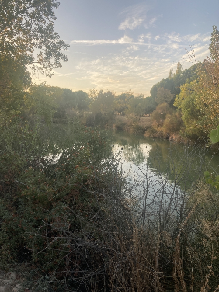 res_o-65961-rutas-a-caballo_de_anna-kachur_img-3386_17603447554009.jpeg