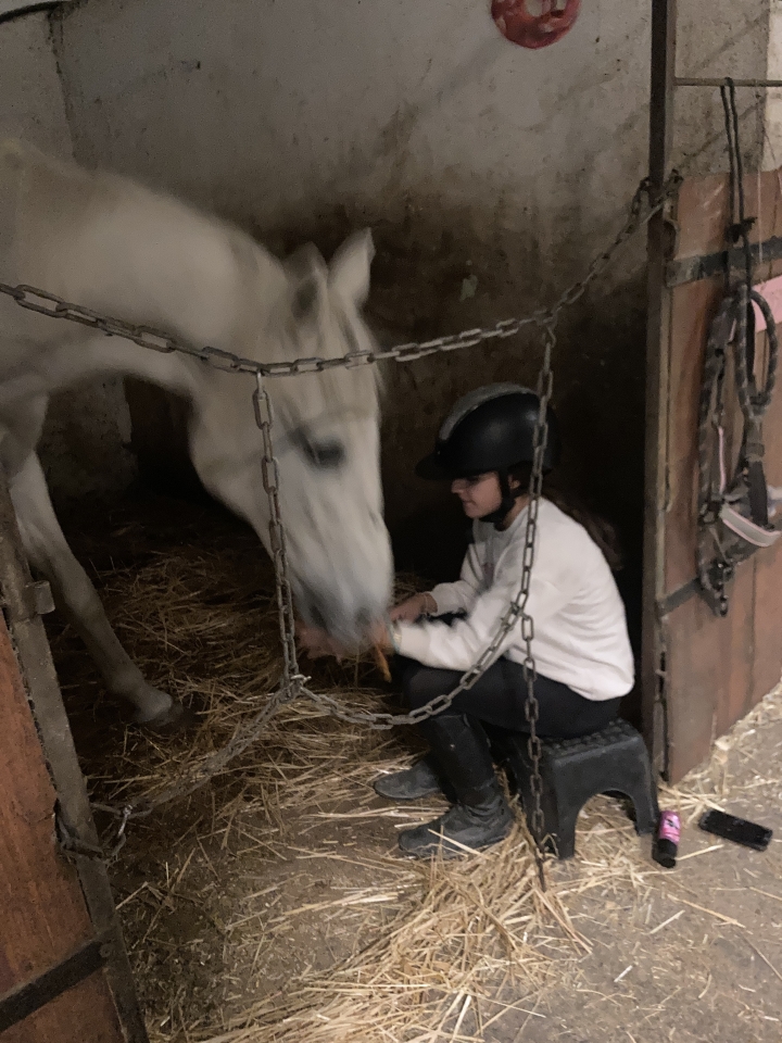 res_o-65961-rutas-a-caballo_de_anna-kachur_img-3414_17603447405190.jpeg