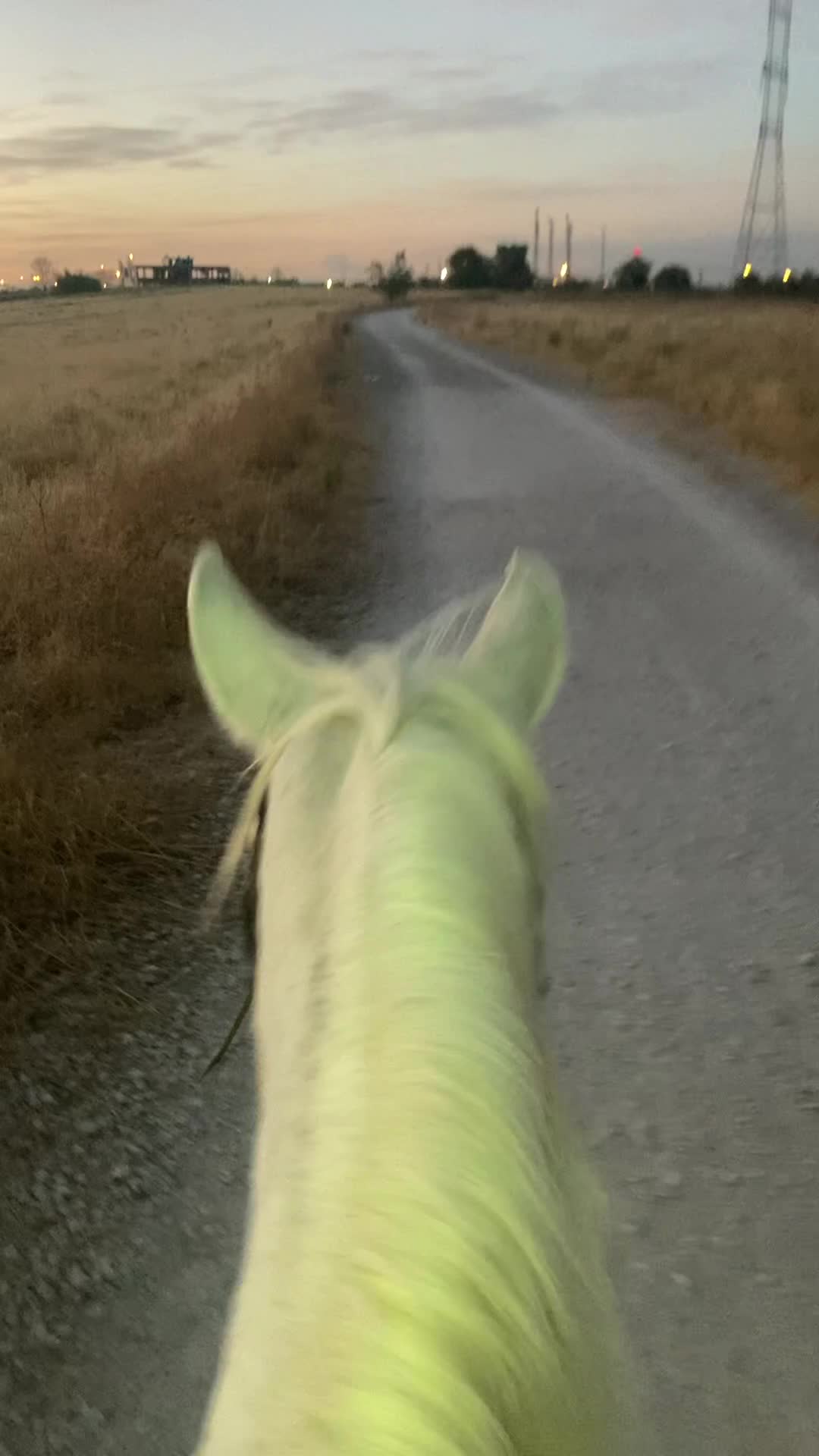 res_o-65961-rutas-a-caballo_de_anna-kachur_edb06f4a-dd7d-4eee-a7cc-69e8a5abd671_17603443984438.mp4