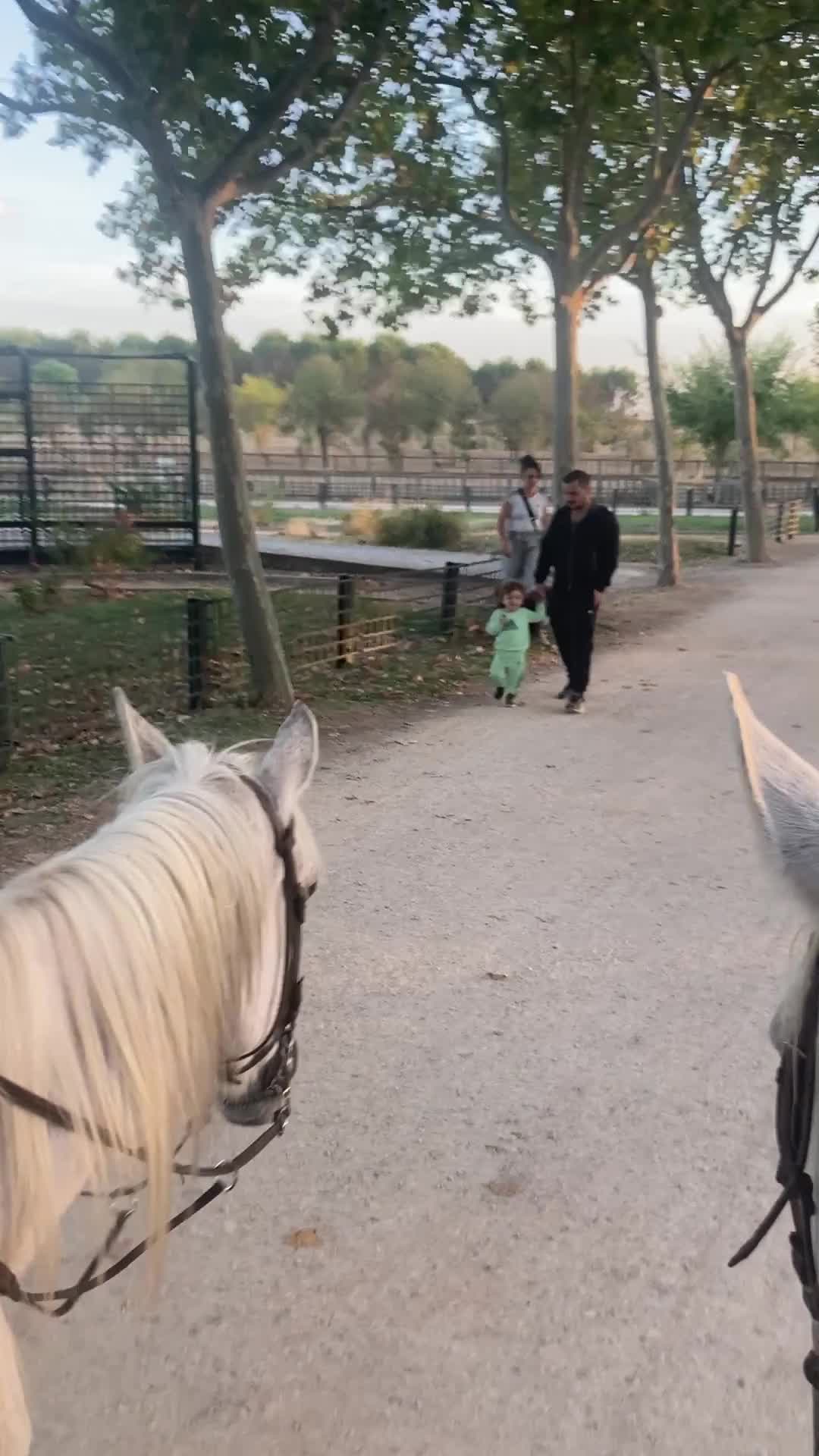 res_o-65961-rutas-a-caballo_de_anna-kachur_img-3390_17603443231037.mp4