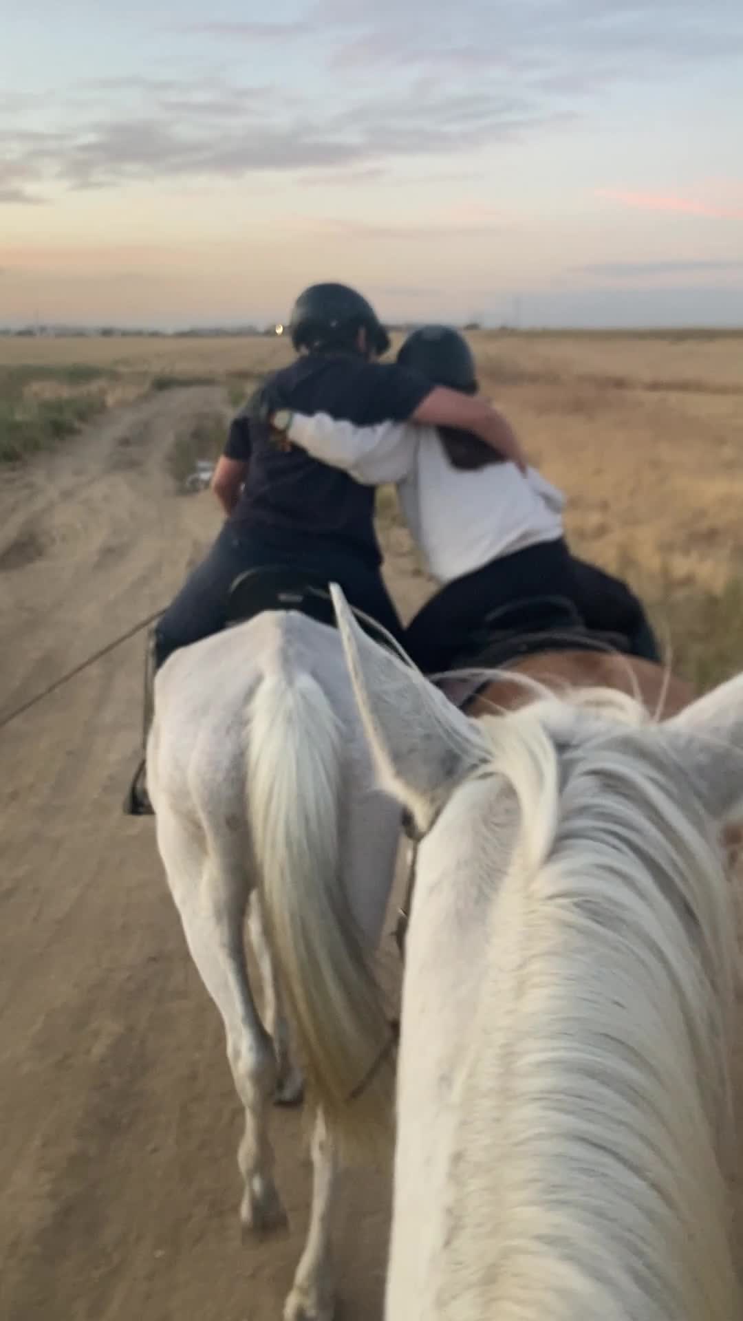 res_o-65961-rutas-a-caballo_de_anna-kachur_img-3396_17603443613850.mp4