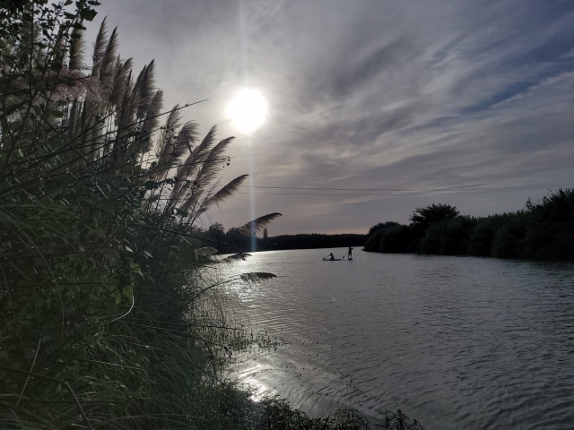  Während der geführten Route auf dem Paddle-Surfbrett