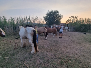 res_o-65393-rutas-a-caballo_de_charbonnel_1000049909_17554504679167.jpg