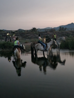 res_o-65393-rutas-a-caballo_de_charbonnel_1000049949_1755450461823.jpg