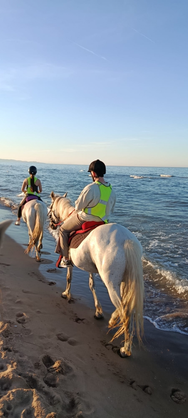 Opinión de Marina sobre Paseo a caballo por la playa de Xeraco, 2 horas