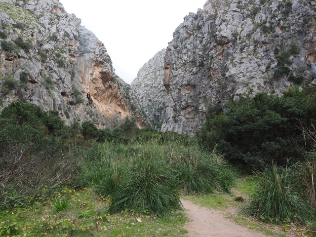  Arrivo al Torrent de Pareis 
