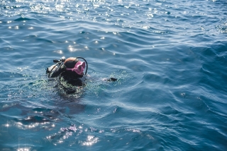 Buddha Divers