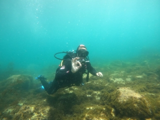 res_o-59412-buceo_de_alberto-de-la-villa-hidalgo_16930746956780.jpg