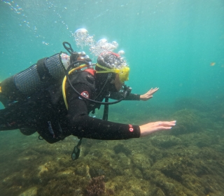 res_o-65663-buceo_de_sandra-collantes-alarcon_img-20250827-wa0119_17573228537845.jpg