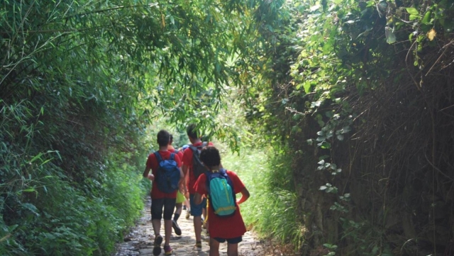  Our boys hiking 