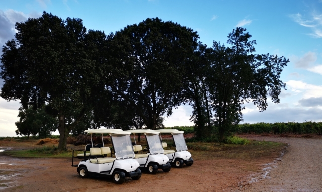 Preparados para recorrer la finca