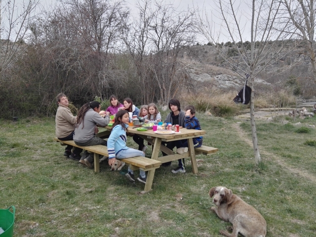  Barbecue in the countryside 