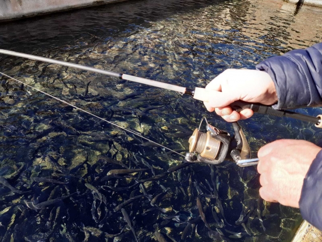  With the fishing rod 