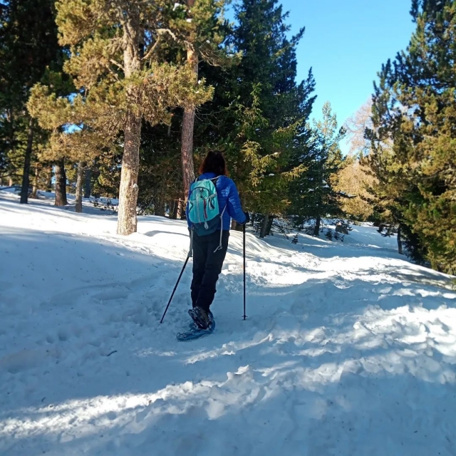  Snowshoe route 