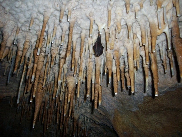  Dentro la grotta 