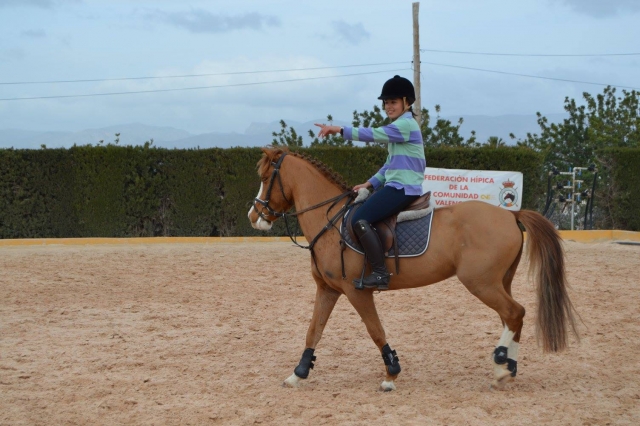  Equitazione a Valencia - 999 - Gita 