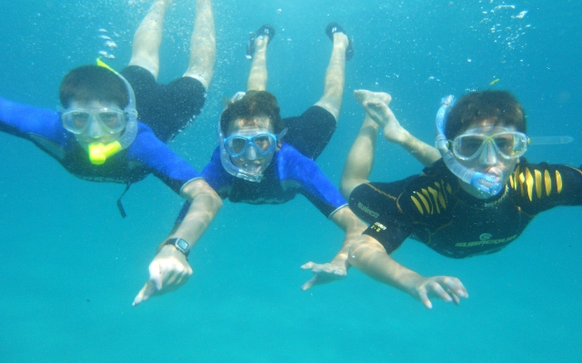  Desfrutar do mergulho com snorkel 