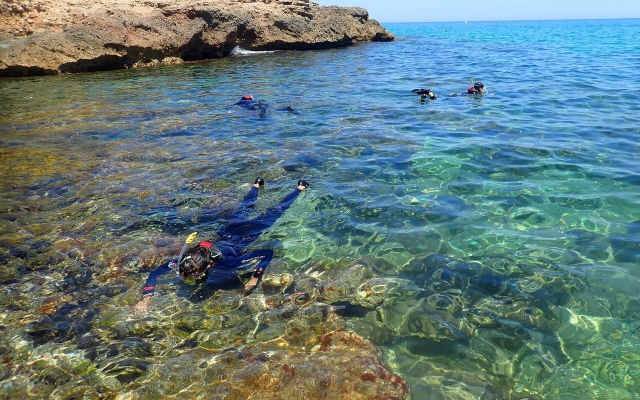  Snorkeling em Tarragona 