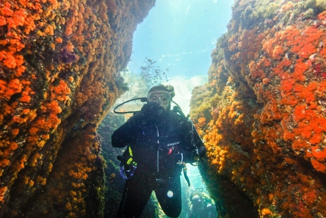 Conociendo el fondo marino