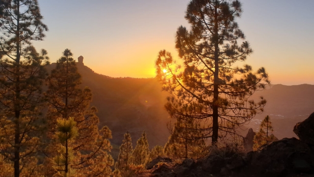  Sonnenuntergang vom Gipfel des Pico de las Nieves 