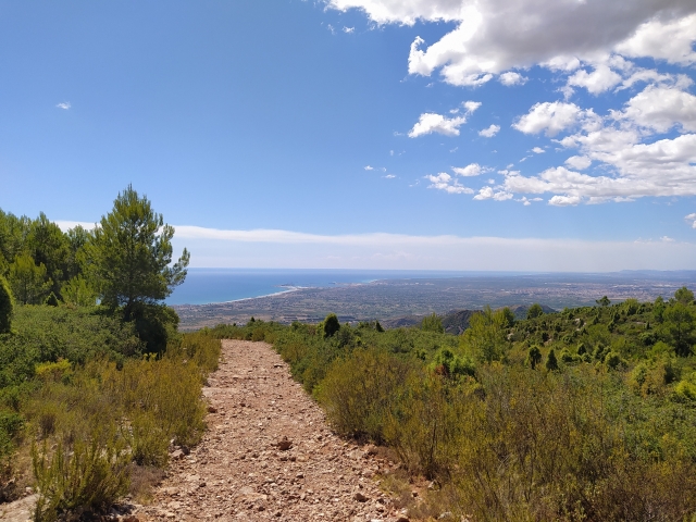 Senda Desierto
