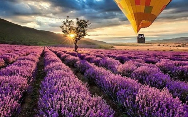 Disfruta de una experiencia impresionante