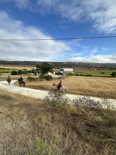 res_o-65499-_img-4833_17561110816079.jpeg