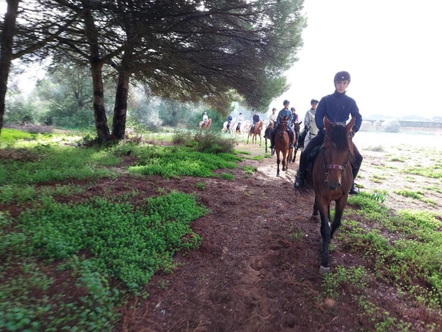  Reitrouten in Chiclana