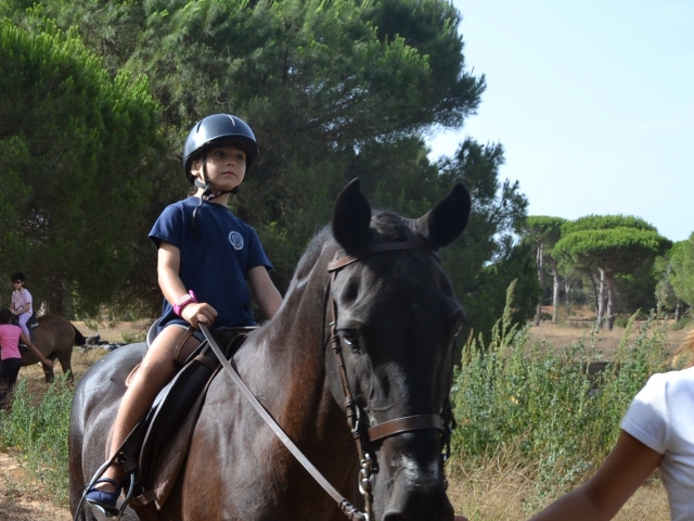  Reiten 
