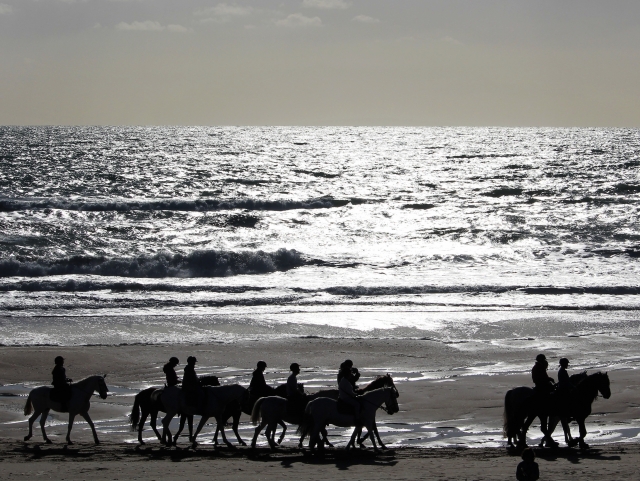  Zu Pferd entlang des Strandes 