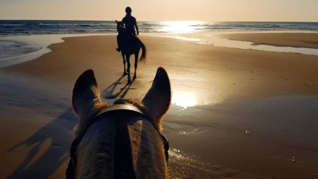Cabalgando por la playa de Zahora